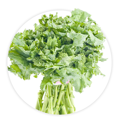 Simply-Local_Rapini