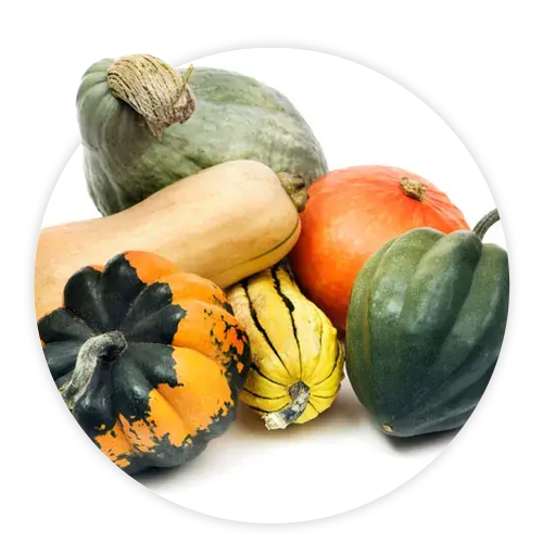 Simply-Local_Squashes