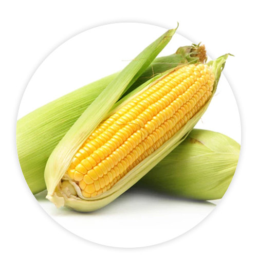 Simply-Local_Sweet-Corn